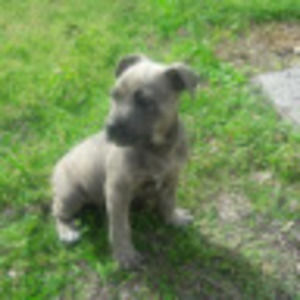 Meet your Posher, Alberto